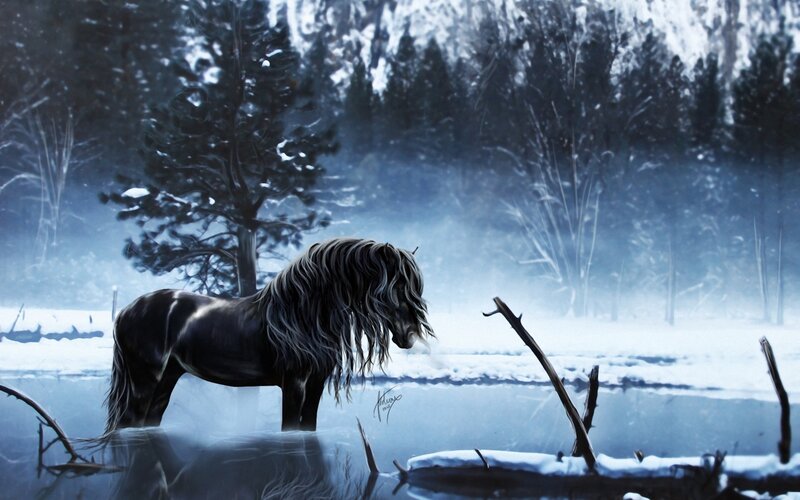 Black Horse in Water — Blue, Cold, Winter