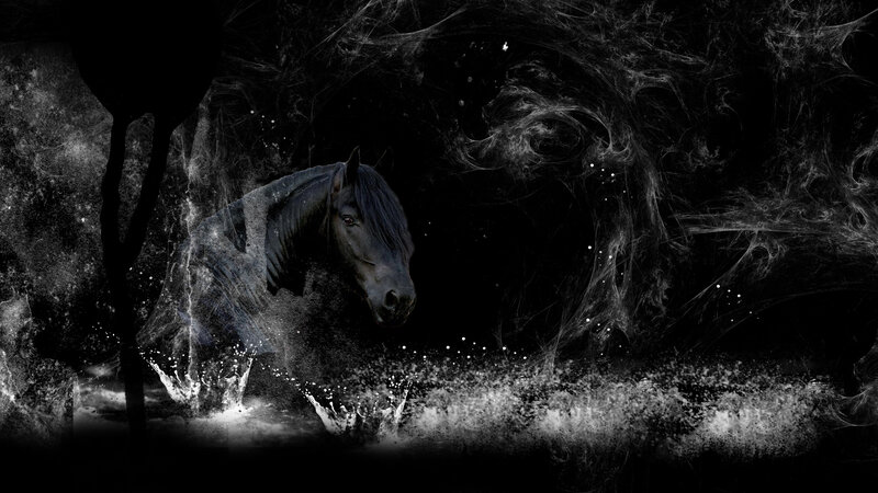 Black Horse in Water — Dramatic