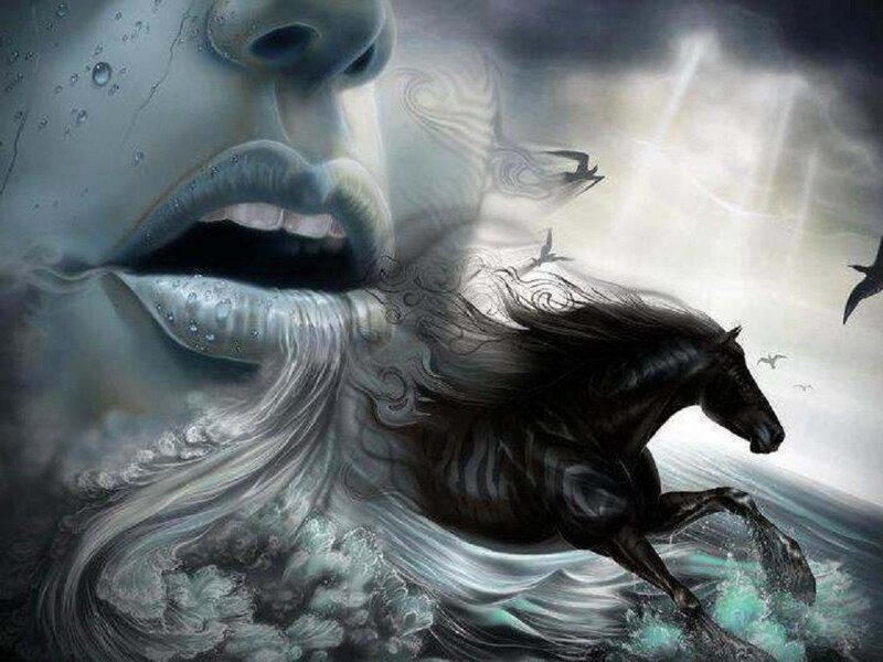 Black Horse in Water — Gray