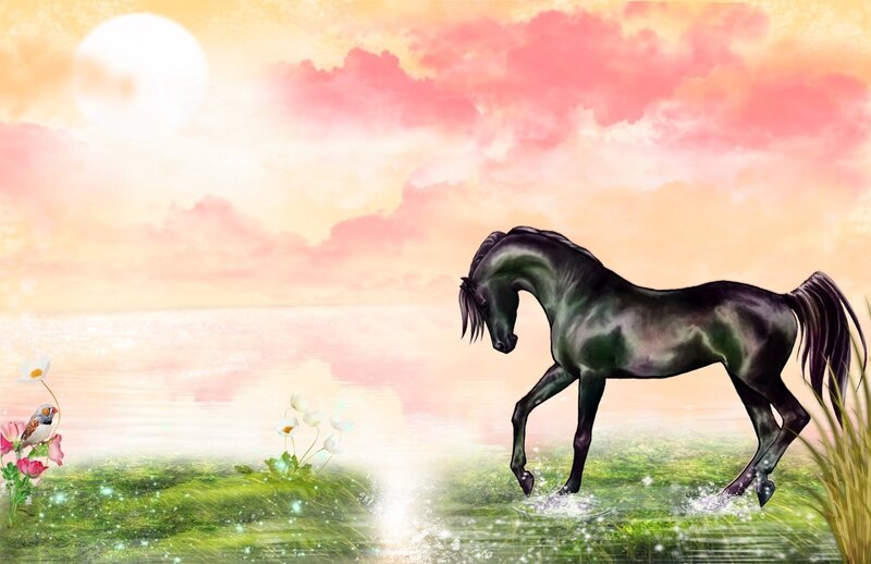 Black Horse in Water — Green
