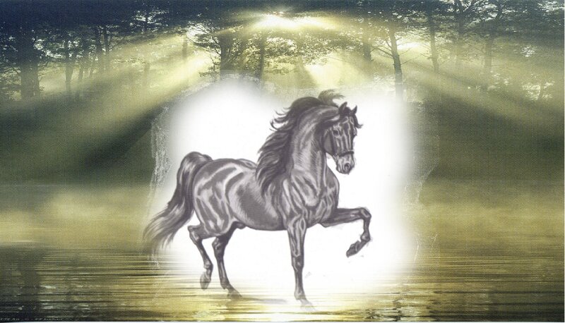 Black Horse in Water — White