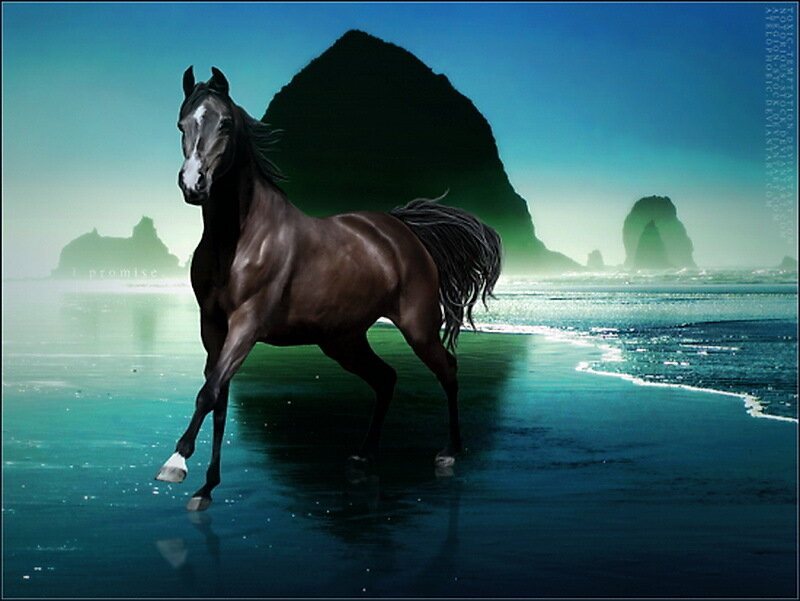 Black Horse on Beach — Blue
