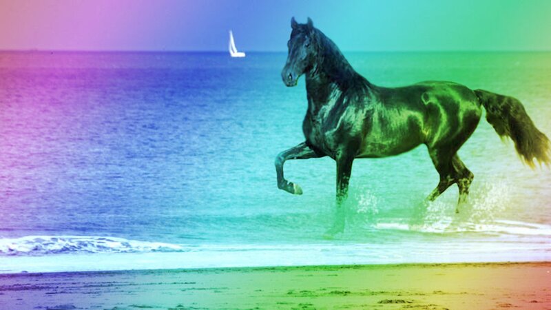 Black Horse on Beach — Purple