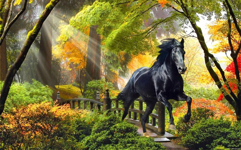 Black Horse on Bridge — Green, Serene