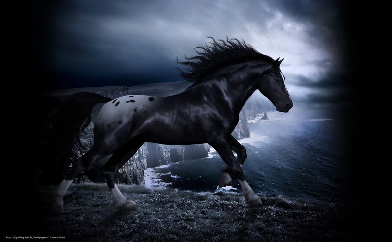 Black horse on cliff edge