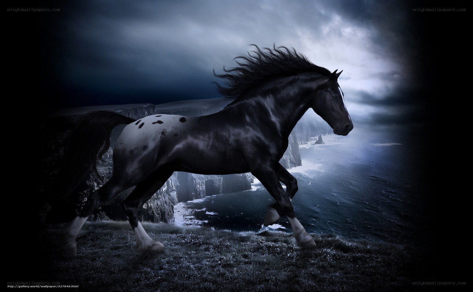 Black horse on cliff edge
