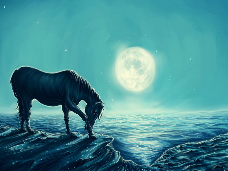 Black Horse on Cliff