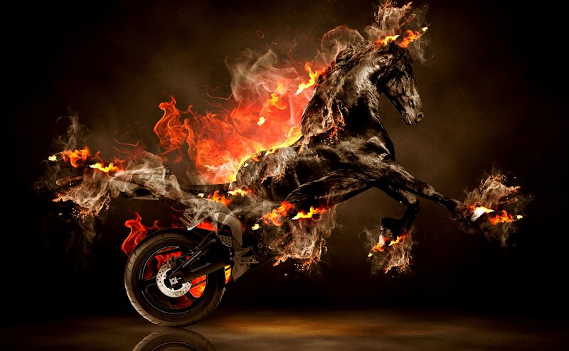 Black Horse on Motorcycle
