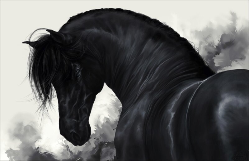 Black Horse Portrait — Dramatic, Digital Art