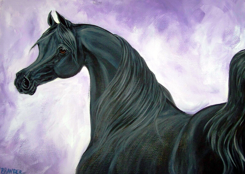 Black Horse Portrait — Purple, Dramatic