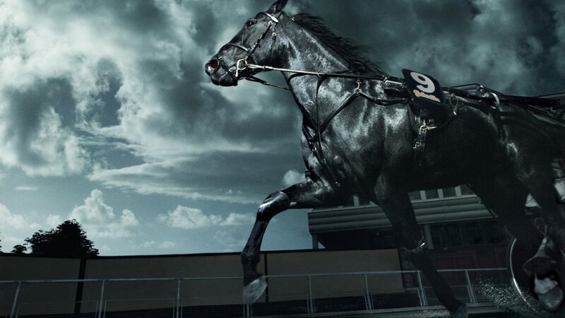 Black horse racing on track