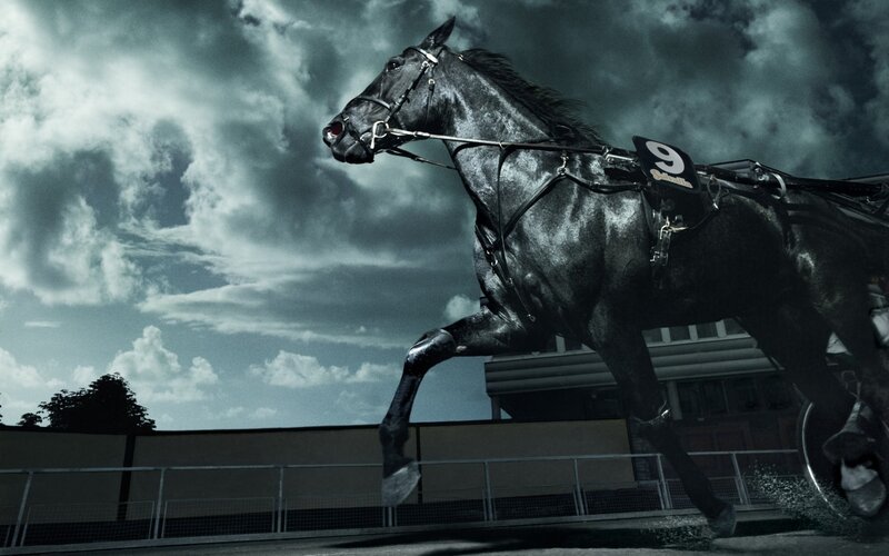 Black horse racing on track