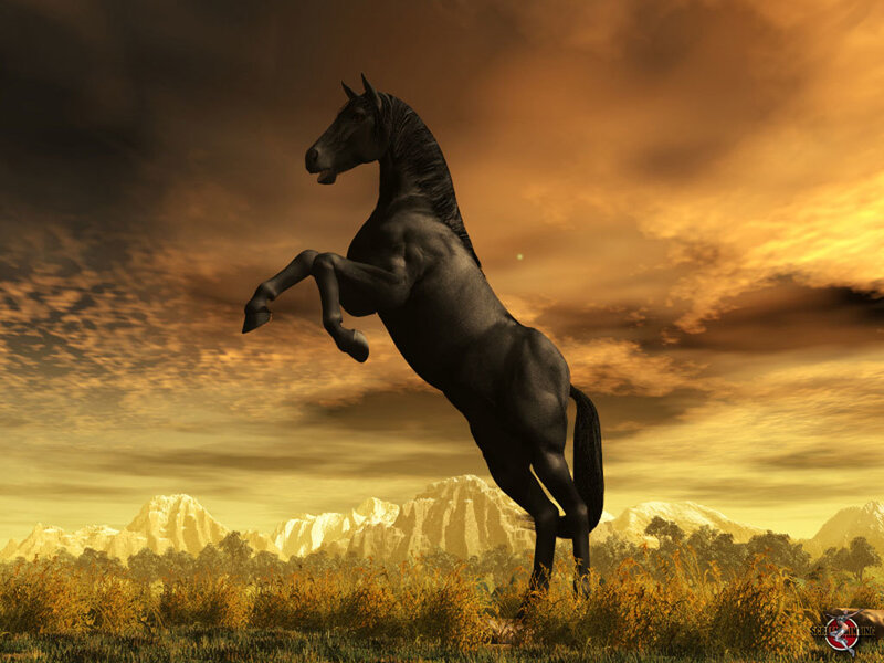 Black Horse Rearing — Brown, Dramatic, Sunset, Digital Art, Mountains