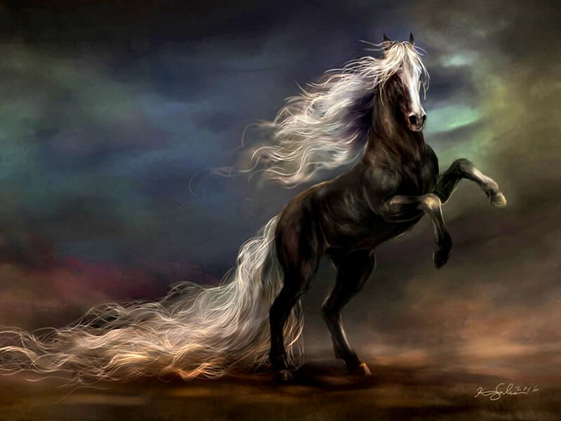 Black Horse Rearing — Dramatic, Digital Art, Clouds