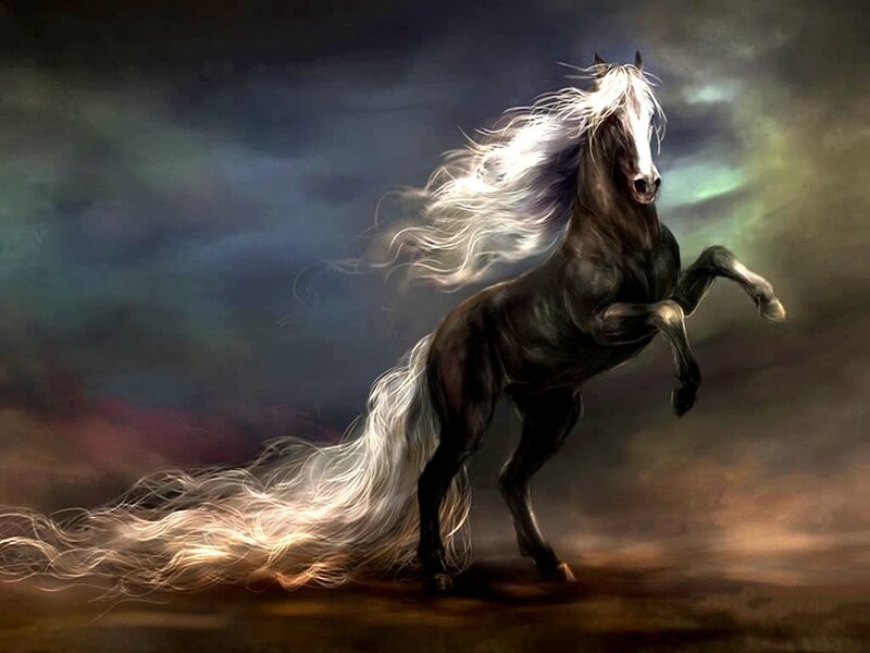 Black Horse Rearing — Dramatic, Digital Art, Stormy Sky