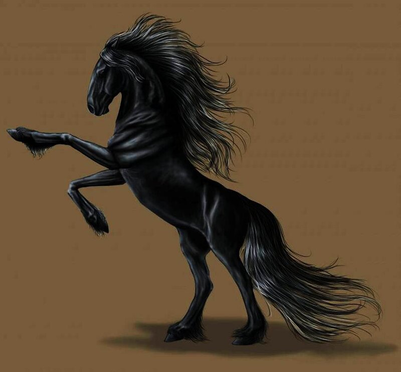Black Horse Rearing — Dramatic, Digital Art