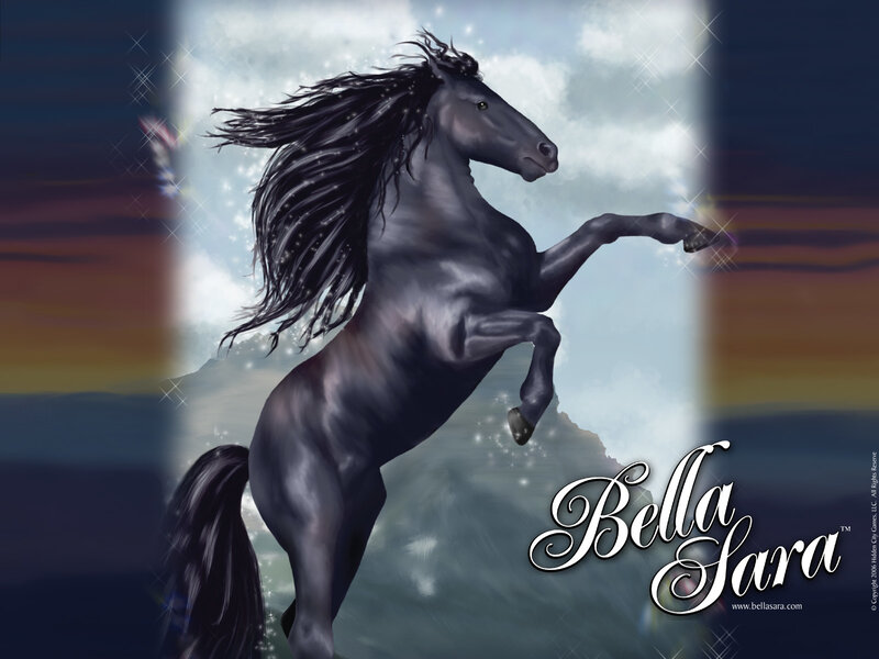 Black Horse Rearing — Dramatic, Sunset