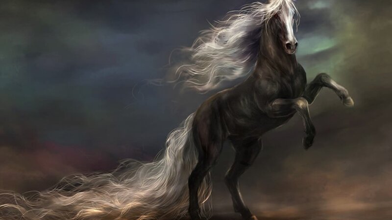 Black Horse Rearing — Gray, Dramatic