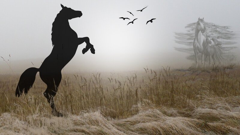 Black Horse Rearing — Gray, Misty