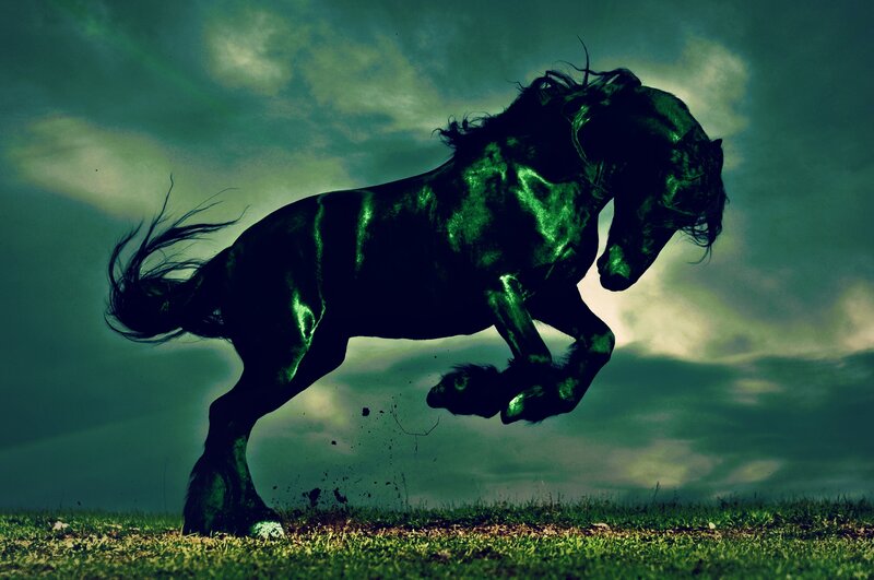 Black Horse Rearing — Green, Dramatic