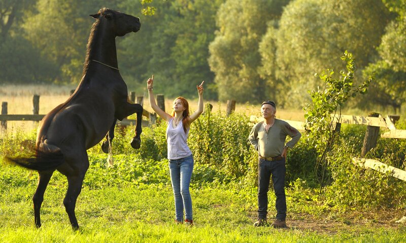 Black Horse Rearing — Green, Serene