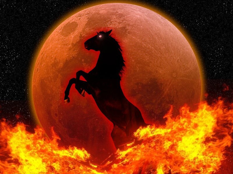 Black Horse Rearing — Red