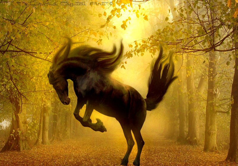 Black Horse Rearing — Yellow