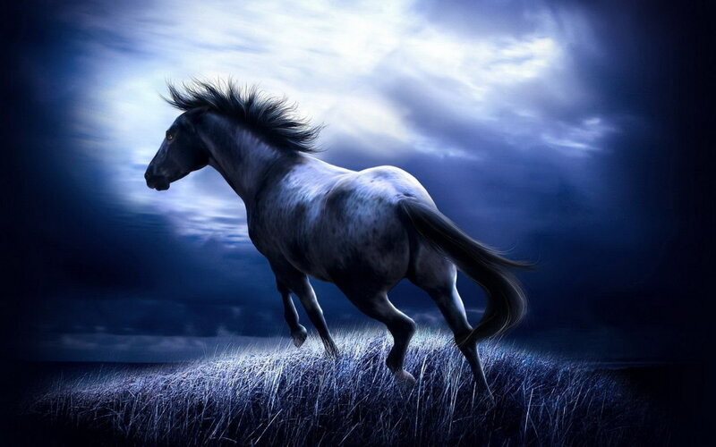 Black Horse Running — Blue, Dramatic, Night