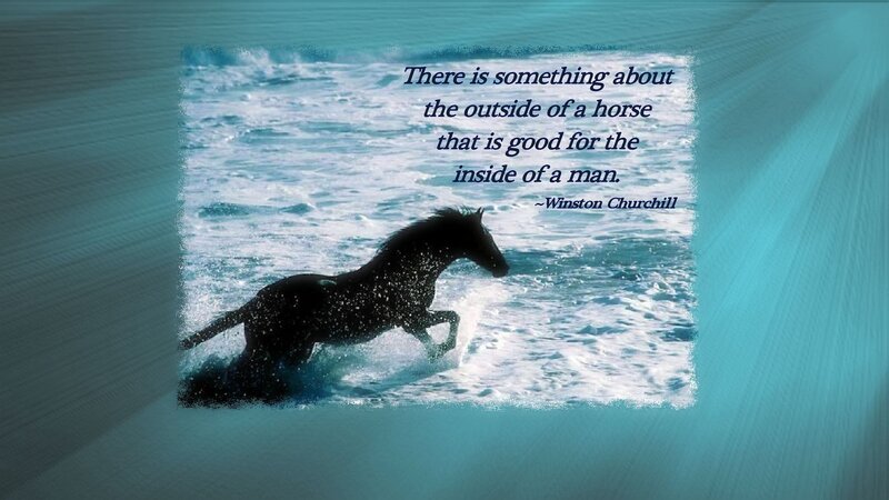 Black Horse Running — Blue, Dramatic, Photograph