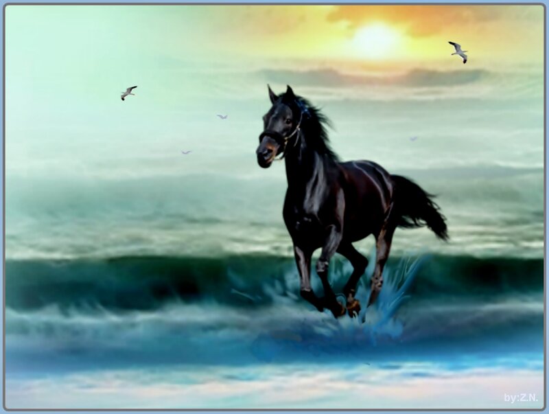 Black Horse Running — Blue, Dramatic, Sunset, Digital Art, Seagulls