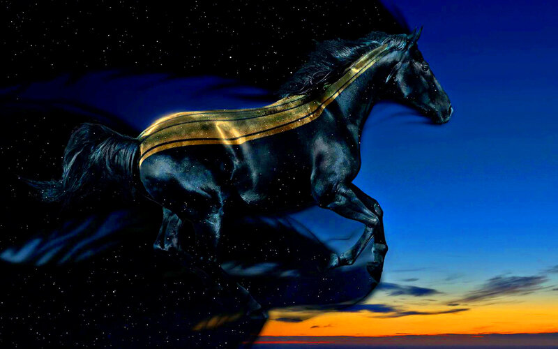 Black Horse Running — Blue, Dramatic, Sunset, Digital Art, Stars