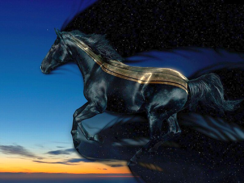 Black Horse Running — Blue, Dramatic, Sunset