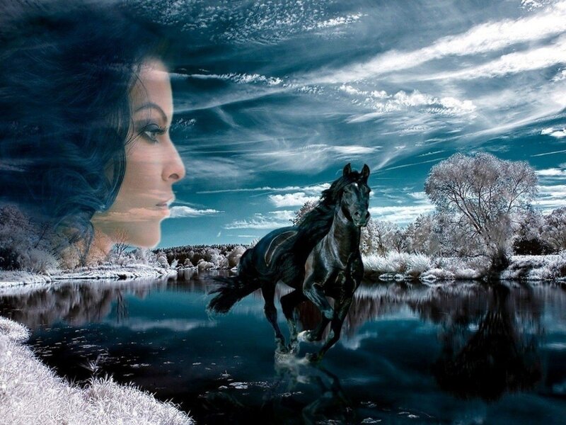 Black Horse Running — Blue, Dramatic