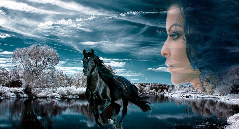 Black Horse Running — Blue, Dramatic, Winter