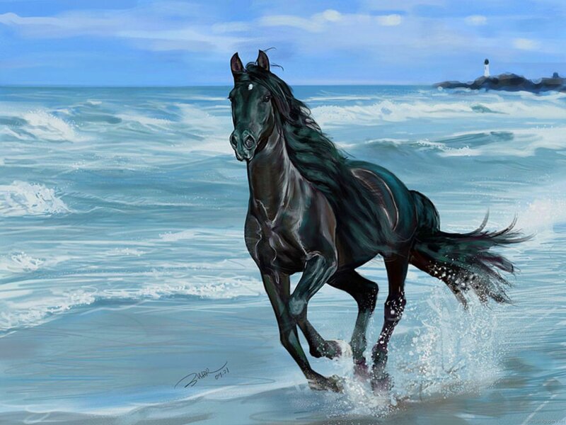 Black Horse Running — Blue, Dynamic