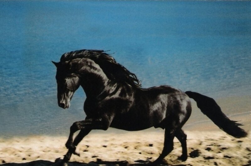 Black Horse Running — Blue