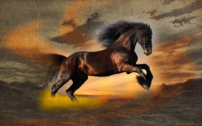 Black Horse Running — Brown, Dramatic, Sunset, Digital Art