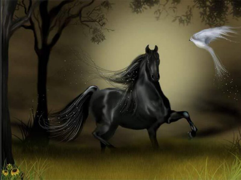 Black Horse Running — Dramatic, Night