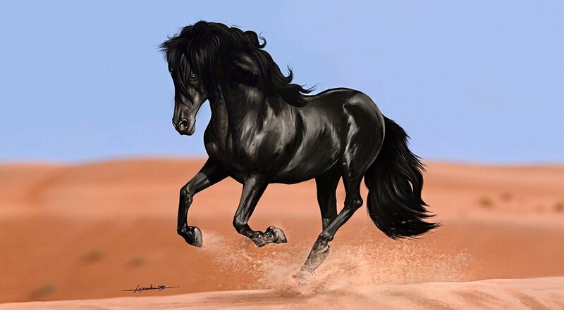 Black Horse Running — Dynamic, Afternoon, Digital Art, Desert