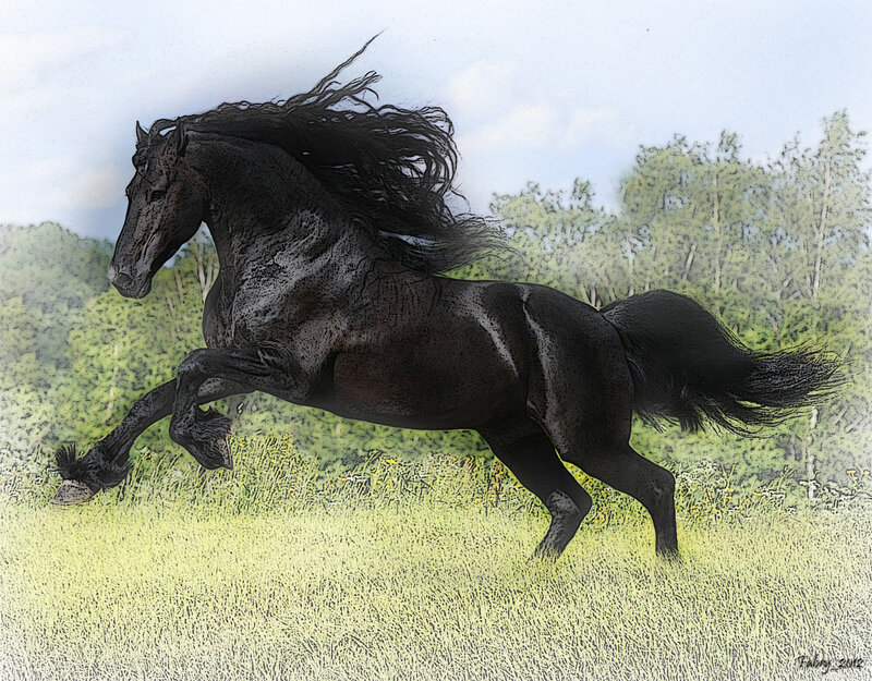 Black Horse Running — Dynamic, Afternoon, Digital Art