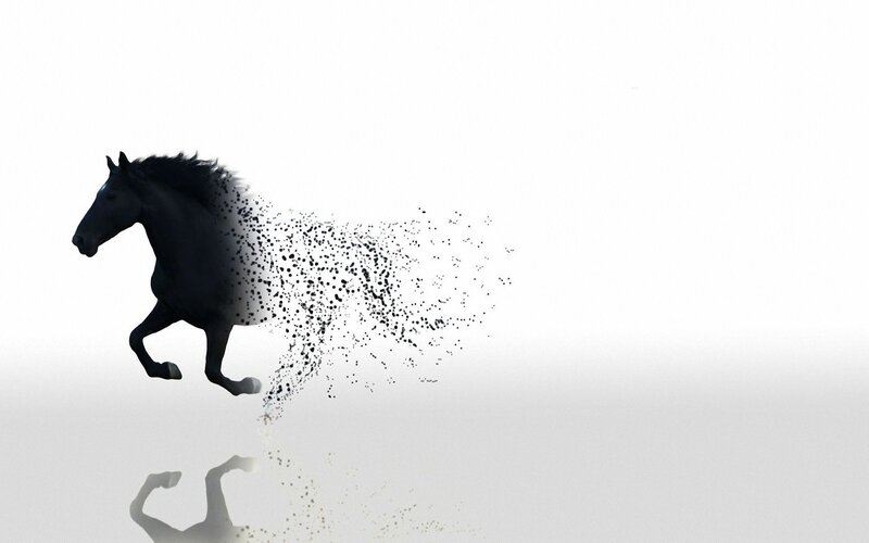 Black Horse Running — Dynamic, Digital Art, Particles