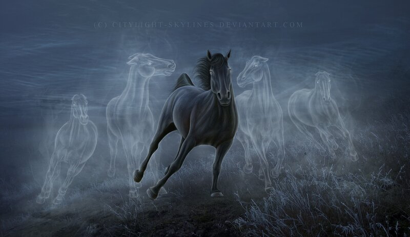 Black Horse Running — Gray, Dramatic, Night