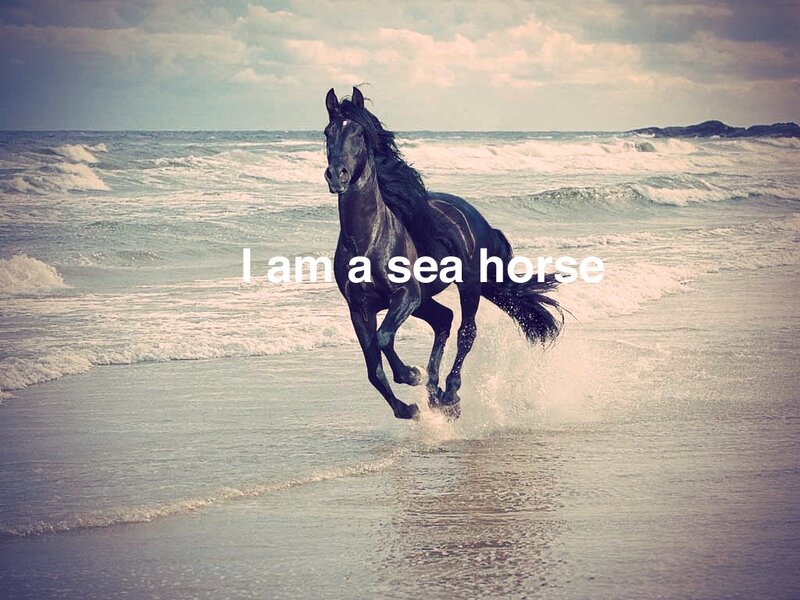 Black Horse Running — Gray, Dynamic