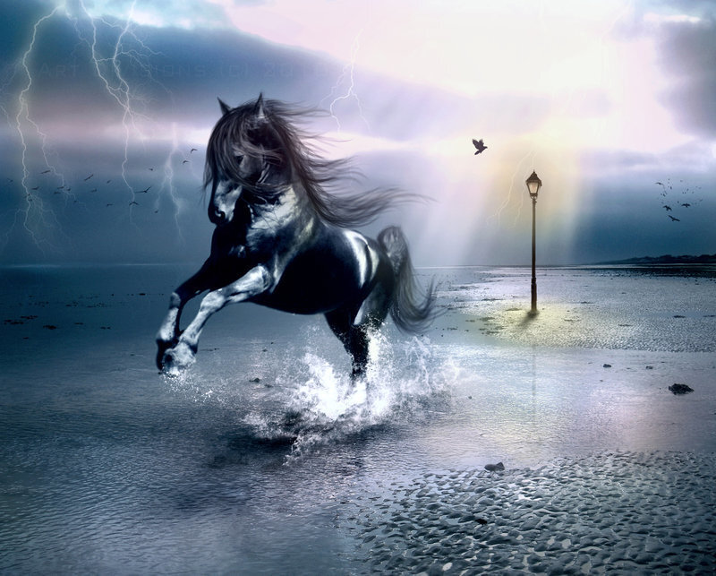 Black Horse Running — Gray