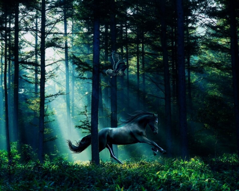 Black Horse Running — Green, Dramatic, Morning