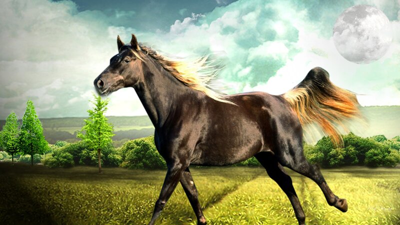 Black Horse Running — Green, Dramatic, Night