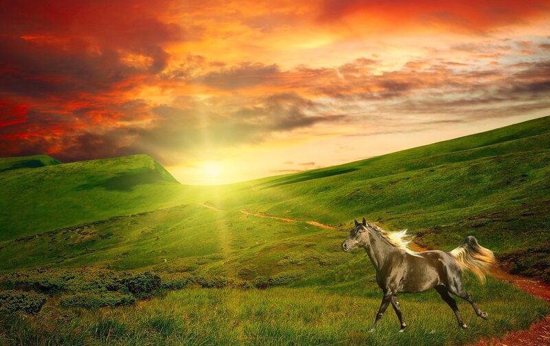 Black Horse Running — Green, Dramatic, Sunset, Digital Art