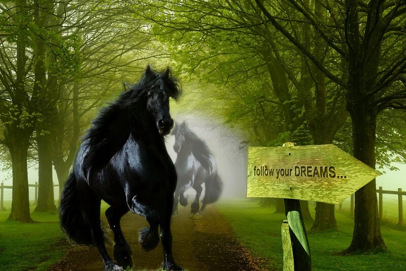 Black Horse Running — Green, Dreamy