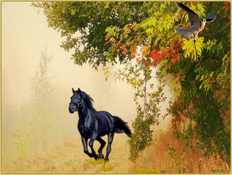 Black Horse Running — Green, Serene, Autumn