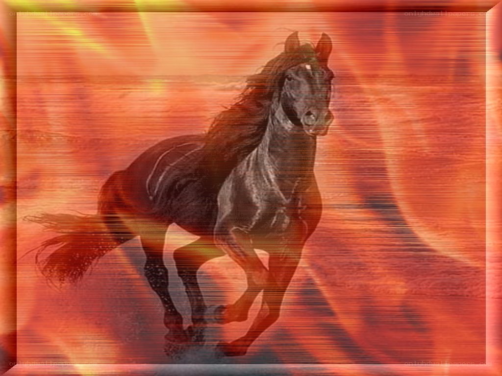 Black horse running in fire